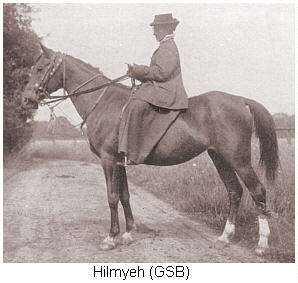 Lady Anne Blunt on Hilmyeh (Ahmar x Bint Helwa), the tail female ancestress of all the Doyle horses